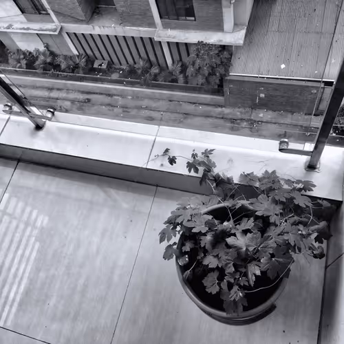 Item #67992331650723614361703023374283579868266072419832795467838943406511114682369 Media