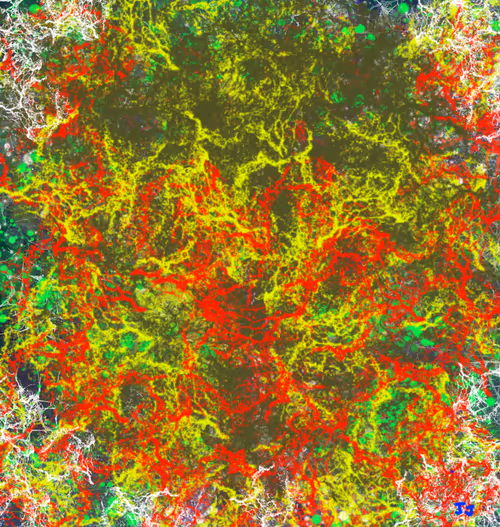 Item #74409484216040404032007395389686689842881964960127199489316169219443215302657 Media