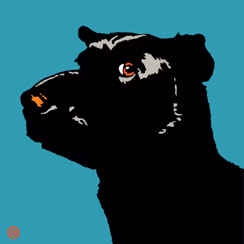 Item #1471147628704737889438767133014226167945868547252600766557675658863976644609 Media