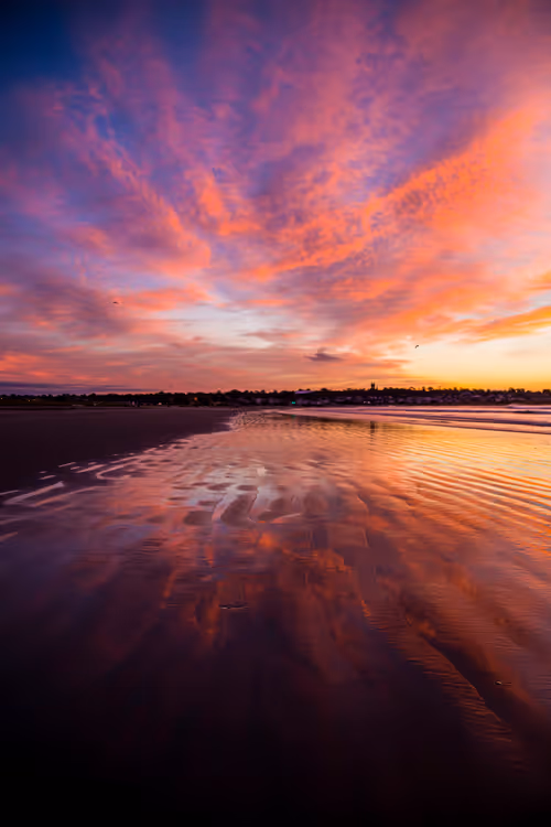 Item #111174009616639200000012101968861275422099781399944675221188828372391606353921 Media