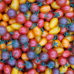 68021680421370609917971695803708180506045537231368972803899735085625441779713