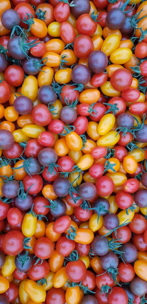 Item #68021680421370609917971695803708180506045537231368972803899735085625441779713 Media