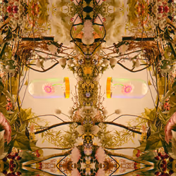 54411499690937640101772425138653578544162397958311670010148906846686959108097