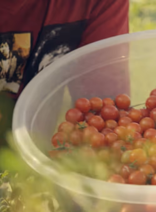 Item #4687818772316156749878932709258730652488846235938358120938216594918789349377 Media