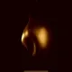 Lost Eden: Origins