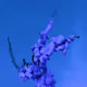 27614347618050712287646279436362224988498182578881595414014434839422874681345