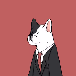 #13 Cooper French Bulldog