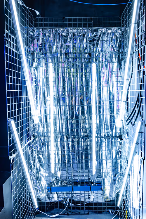 Item #85609240710973135230976347674677612252797211921103835166901622363171361652741 Media