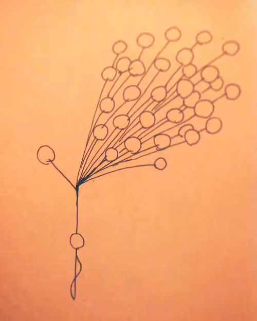 Item #35658392662214642312226296742360412302091329564359364454305730510180375855105 Media