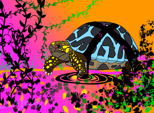 Item #102177492445544886382659035713044492308620582969953474568184538434115731456021 Media