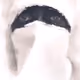 93866284275556934633681864008619125531871644412806014238867088111300811685889