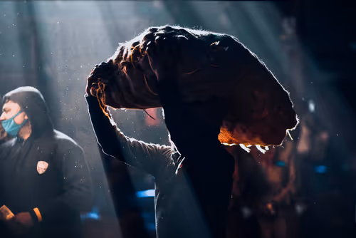 Item #77880343441441824581090406099038781538338001840329207874185158504954757906433 Media