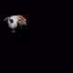 100984431488106687156308066677938556093248654552995172236138118440176989503489