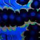 110719153354749935820344252381834943892055822108530884886697169781111608311809