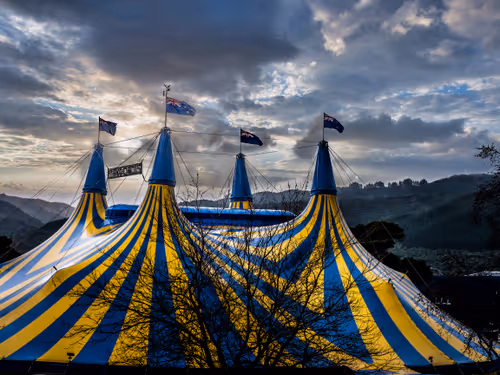 Item #42005270844264954442005096859517419770807969244416947009835700209126511476737 Media