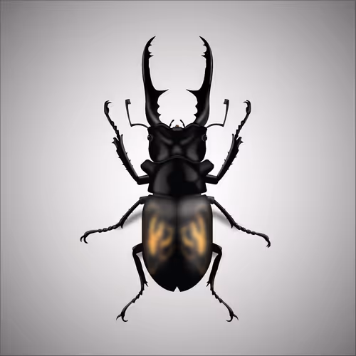 Item #15006194083360452165747859706250248338064014496976576965207408431825015537665 Media