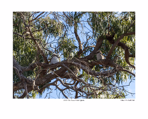 Item #24600310660482288606297797528155087939323639147399647196853483663330516140033 Media