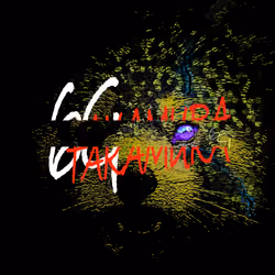 6G-Tirami-#0009