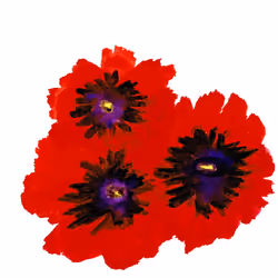 Red Flowers