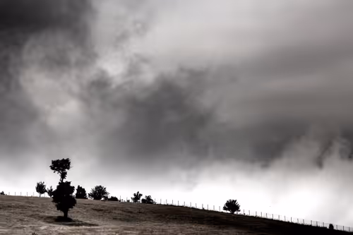 Item #54047435353604070609203738592143404412748922024191880887659997864995611213844 Media