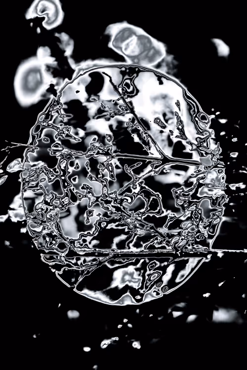 Item #52983178827140167828798930307680145442294499588078519944189482709241512853505 Media