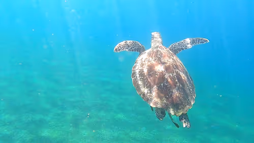 Item #57636846716625674083637003599082399011400728335992986804098864710987901042689 Media