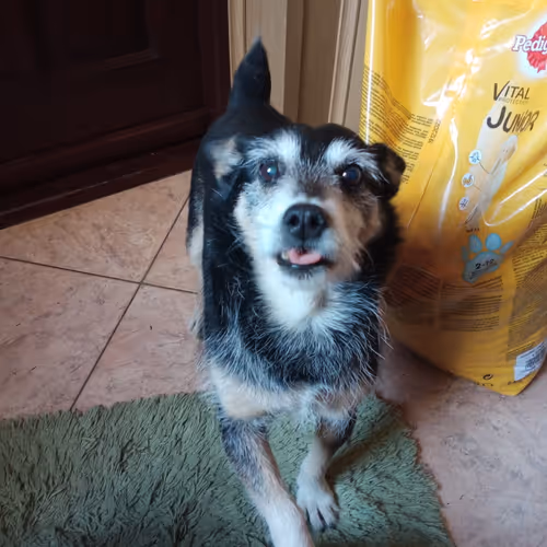 Untitled Collection #275223307