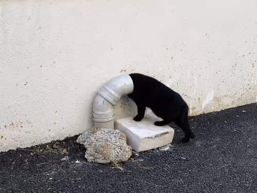 Item #75139149359335789943753797119922934850967723964530957591471526356522396286977 Media