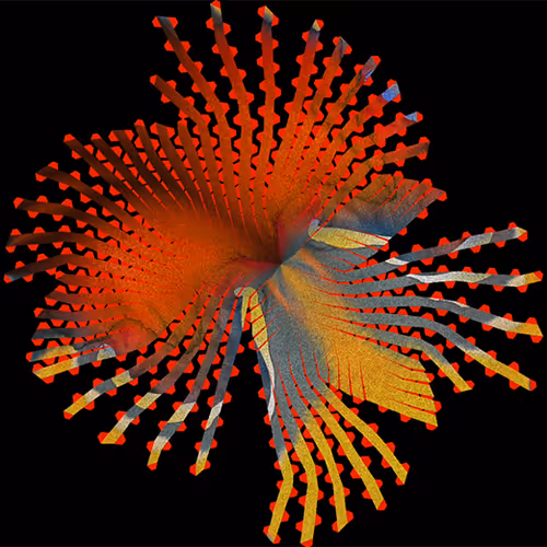 Vibrant Flower