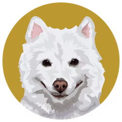 54766349128176429303044182404049584425310907481653304317570414036485448663041