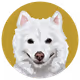 54766349128176429303044182404049584425310907481653304317570414036485448663041