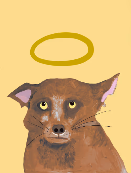 Item #8190719571610145789568542506567364700647027859008357845740194940958235688961 Media