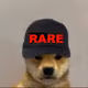 8316562894969602144694638309153562143625037230707950572202173811488796442625