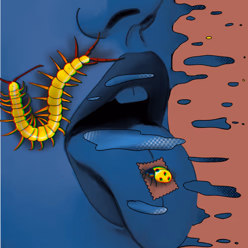 Item #63666326413384084154025886581174867660121788912730574745347745051407137374209 Media