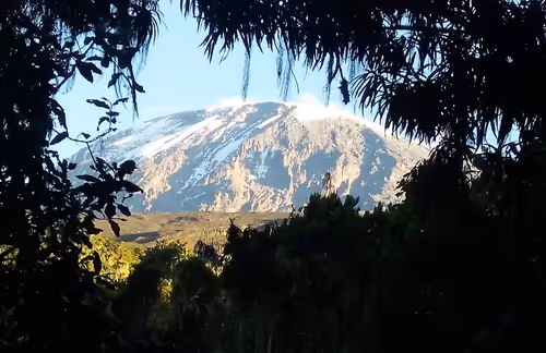 Item #113915635363529418532820506639039462677143782385450590851576059201026906914817 Media