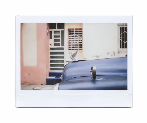 Item #95628935579047862294888083710267829534789365889549982947545054437244756033537 Media