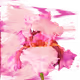 18097351028436064867068650574940535847638079507342713167123984297121082769409