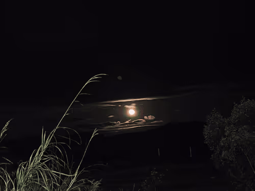 Untitled Collection #77602