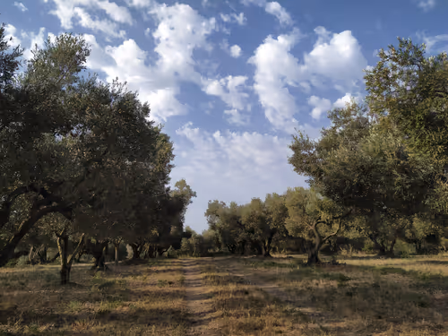 Item #53750555498832942174150954639976857968575645060565489136452761082294985293825 Media