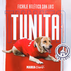 tunita.eth