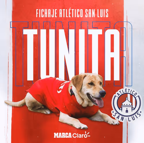 Untitled Collection #122115652