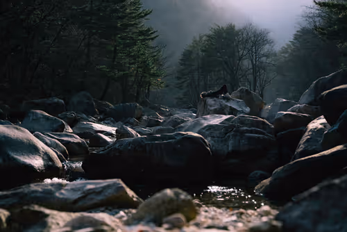 Item #74560649326607298578853393268143794665781666052470848563380919807768073863169 Media