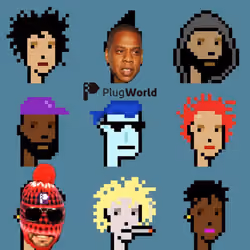 @LordPlug Meets Crypto Punks x Jay Z  🏴‍☠️