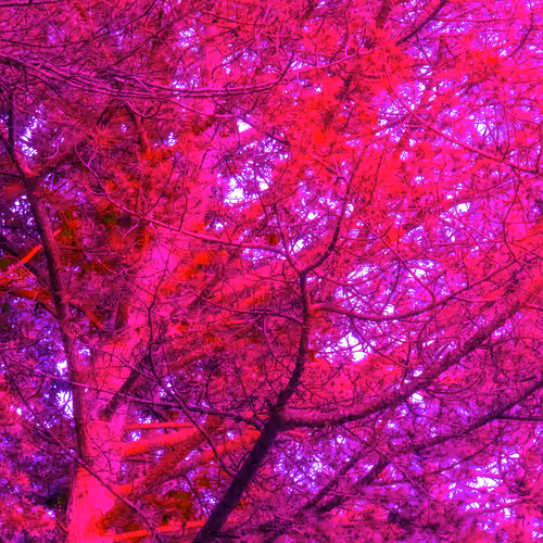 Item #35965218379738729691291467168286792303482134167127854404987491567993691832321 Media