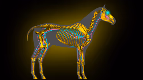 Item #85616260800140778956581373911837214761326127764924071871020287166136721604609 Media