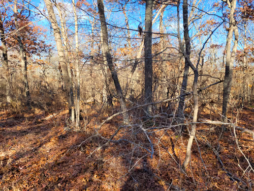 Item #34085441569699423005310991372941828806155687762378495952169943197775824945153 Media