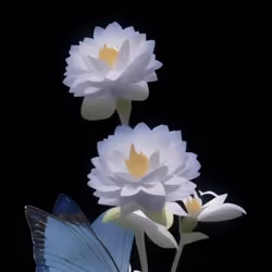 🖤🤍Flower🤍🖤 #19
