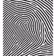 3799515490220879732882333409938015140683167415382329987461811045270636462081