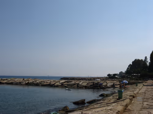 Item #49780404214023394125628081485635193078207366864253774489702248290524705325057 Media