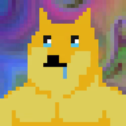CryptoShibe #7295